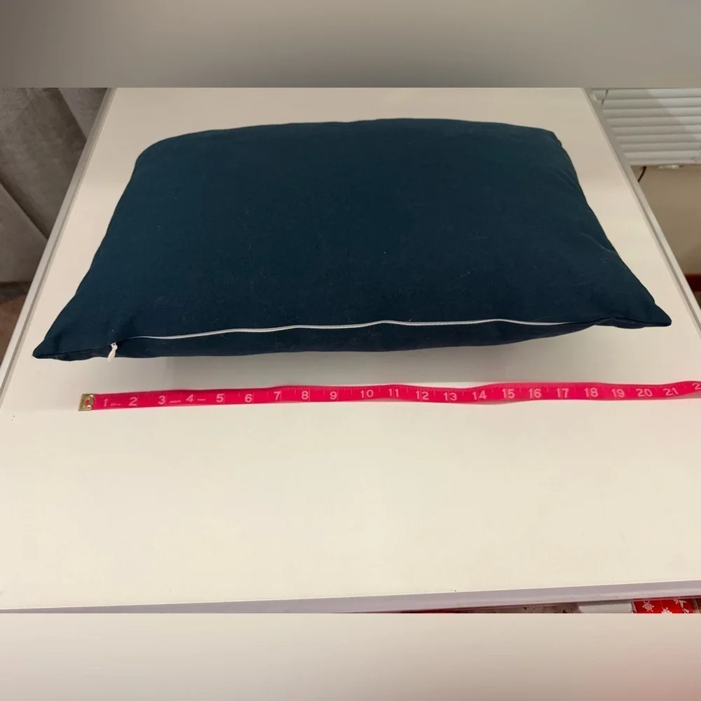 Teal Decorative Pillow